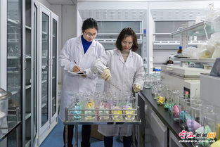節后開足馬力，寧海檢驗檢疫技術中心力促技術進出口高效暢通